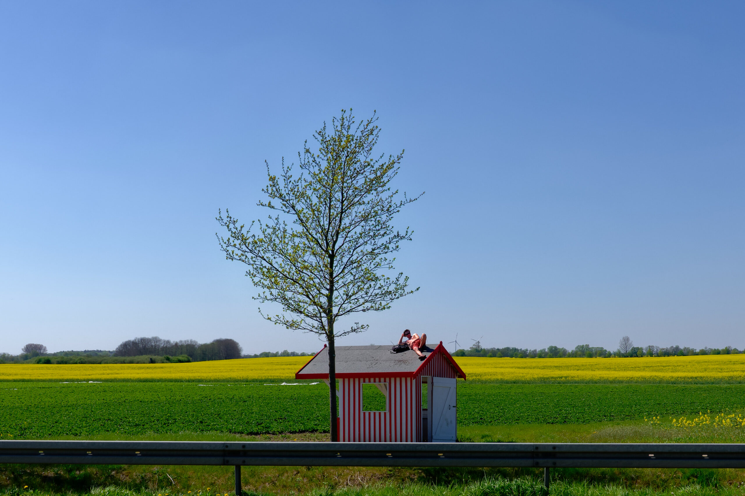 Mann sonnst sich auf Haltestellendach vor einem Erdbeerfeld